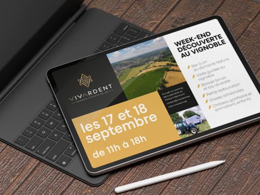 Vivardent flyer